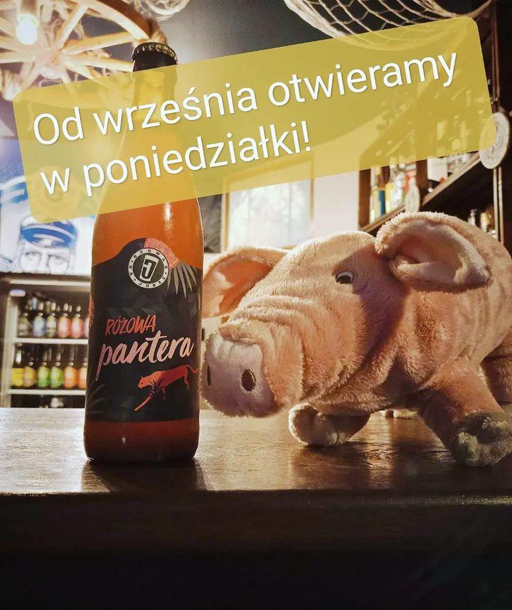 Eloszki, mamy małe ogłoszenie. Od września będzie można nas odwiedzać także w poniedziałki, w godzinach takich samych jak dotychczas w tygodniu: 17.00- 00.00! Do zobaczenia! 🐲🐷